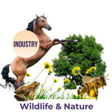 Wildlife and Nature
